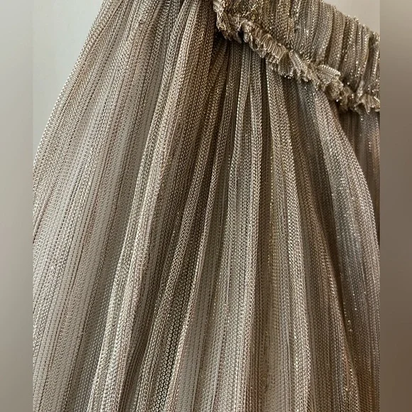 Isabel Marant Etoile Dolmenae Sheer Metallic Knit Maxi Skirt Champagne - Picture 8 of 8